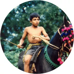 Return of Robin Hood