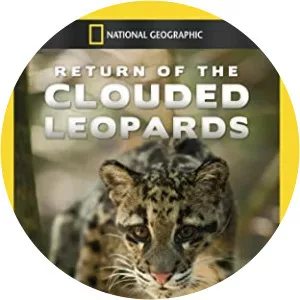 Return of the Clouded LeopardsSince 2011