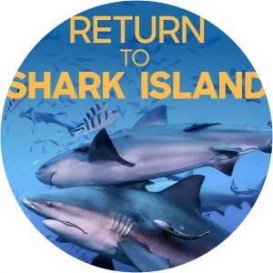 Return to Shark IslandSince 2019