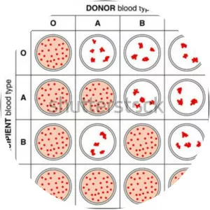 Reuben Ottenberg - American physician