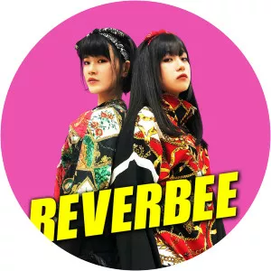 reverbee d.y.t