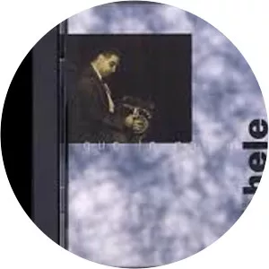 Reynaldo Nichele Musician