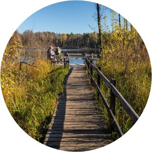 rezerwat przyrody na torfach im. janusza kozłowskiego w karczewie - 