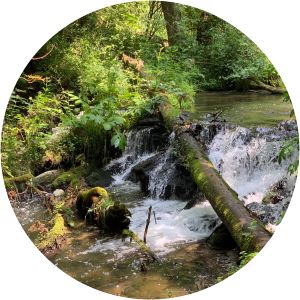 rezerwat przyrody nad tanwią muzeum pożarnictwa w oseredku