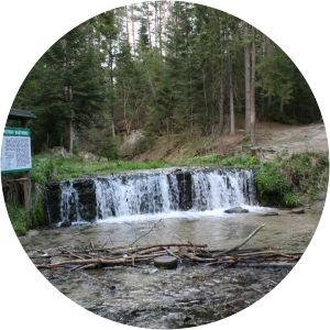 rezerwat przyrody nad tanwią park linowy zwierzyniec