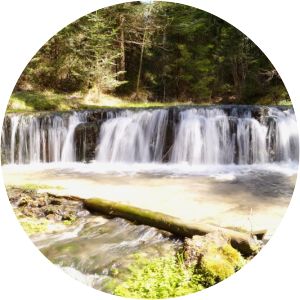 rezerwat przyrody nad tanwią szlak „szumów” - niebieski