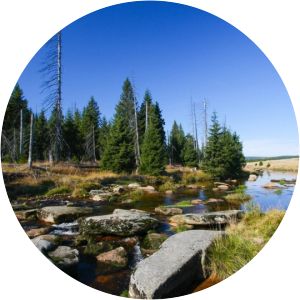 rezerwat przyrody torfowiska doliny izery rezerwat przyrody stawy milickie