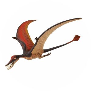 Rhamphorhynchus - Animal