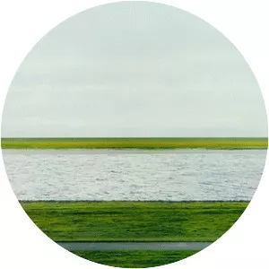 Rhein II - Photograph by Andreas Gursky