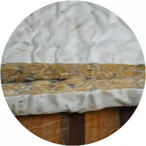 Rhizopus oligosporus