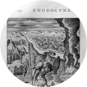 Rhodogune photograph