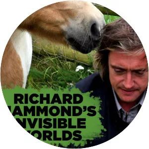 Richard Hammond's Invisible Worlds - Television programme