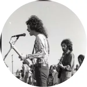 Richard Hirsch - Guitarist