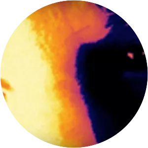 Richard James Simpson