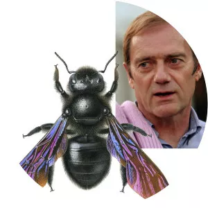 Richard Lewington - Artist