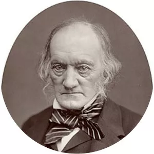 Richard Owen - Rugby league