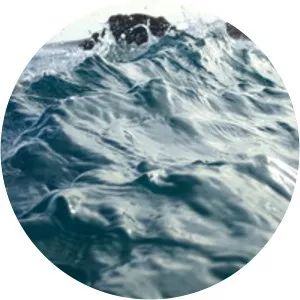 Richard Shapcott - Author