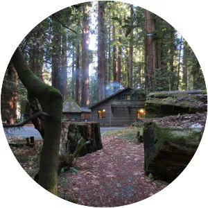 Richardson Grove - 