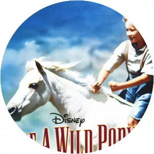 Ride a Wild Pony