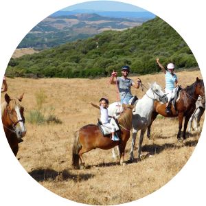 RIDING FUN IN THE SUN