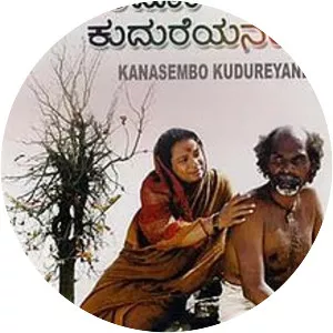 Riding the Stallion of a Dream