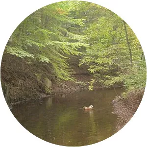 Ridley Creek - Tributary in Pennsylvania