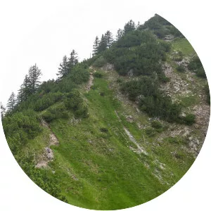 Riffenkopf