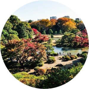 Rikugien Garden