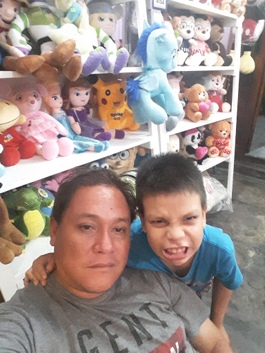 Rinconcito Teddies