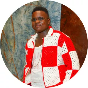 Rindon Johnson - American artist