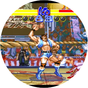 Ring of Destruction: Slammasters II