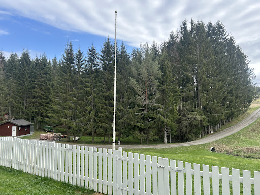 Ringnes Hundepensjonat