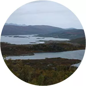 Ringvassøya