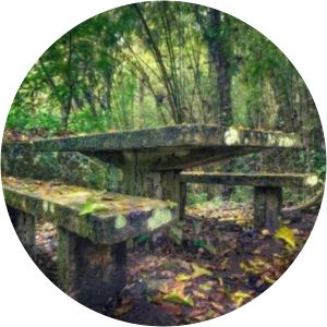 Río Abajo State Forest - 