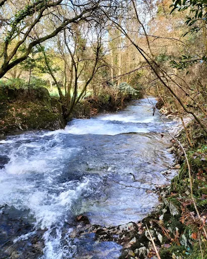 Rio Belelle - Bridge in Neda, Galicia, Spain