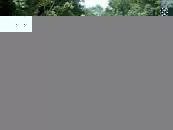 Rio Tanama - River in Puerto Rico