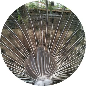 Rioja Natura Park Zoo Santo Domingo de la Calzada