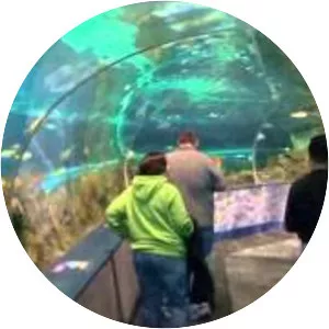Ripley's Aquarium of the Smokies