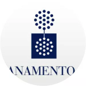 Risanamento - Company