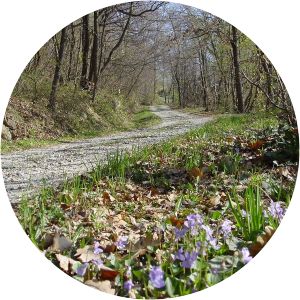 Riserva naturale del Bosco del Vaj