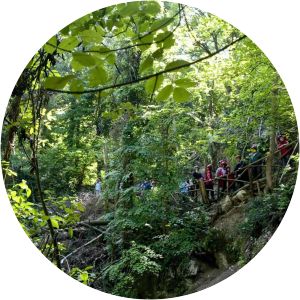 Riserva naturale orientata di Onferno - 