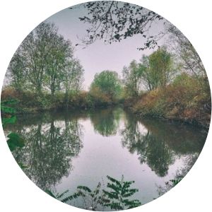 Riserva naturale orientata Parma Morta