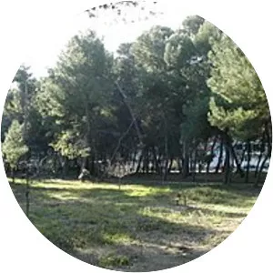 Riserva naturale Pineta di Santa Filomena