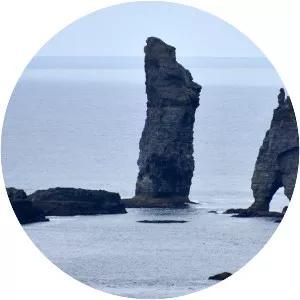 Risin og Kellingin - 