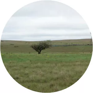 Rita Blanca National Grassland