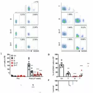 Rita C R Perlingeiro