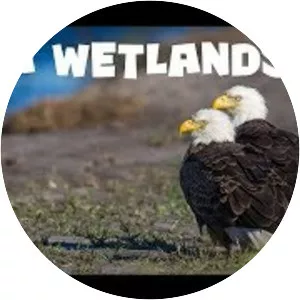 Ritch Grissom Memorial Wetlands - 