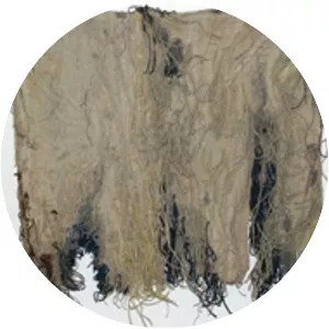 Ritzi Jacobi - Author