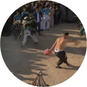 Rivals Of Kung Fu - Film