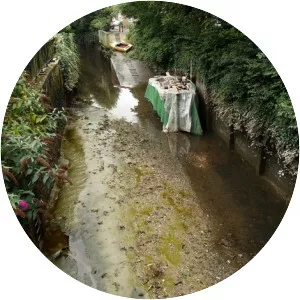 River Crane - River in England